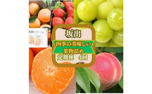 ＜定期便＞四季の美味しい果物詰め　年間４回に分けてお届け！ 1203334 - 香川県坂出市