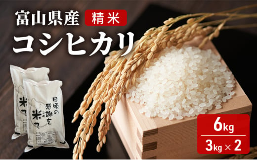 米 日頃の感謝を米て 6kg（3kg×2） コシヒカリ 精米 白米 お米 こめ コメ 富山県 高岡市 [№5616-1648]