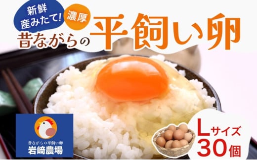 埼玉県蓮田市 平飼い卵 30個入 Lサイズ