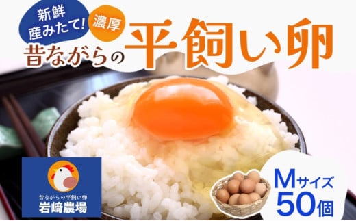 埼玉県蓮田市 平飼い卵 50個入 Mサイズ