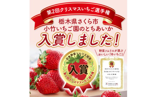 栃木県さくら市のふるさと納税 【先行予約】いちご とちあいか・スカイベリーセット 290g×4パック（1.16kg以上）｜いちご イチゴ 苺 先行予約 栃木県 果物 くだもの フルーツ とちあいか スカイベリー 新鮮 贈答 ギフト 高級 食べ比べ ※2025年1月上旬～4月中旬頃に順次発送予定