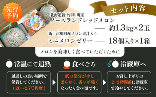 【先行予約】【数量限定】 赤玉メロン２玉・ミニメロンゼリーセット【令和７年７月～８月上旬発送】