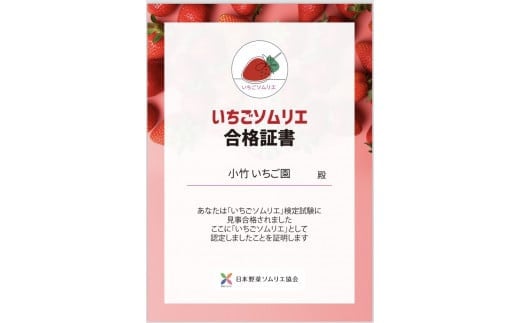 栃木県さくら市のふるさと納税 【先行予約】いちご とちあいか・スカイベリーセット 290g×4パック（1.16kg以上）｜いちご イチゴ 苺 先行予約 栃木県 果物 くだもの フルーツ とちあいか スカイベリー 新鮮 贈答 ギフト 高級 食べ比べ ※2025年1月上旬～4月中旬頃に順次発送予定