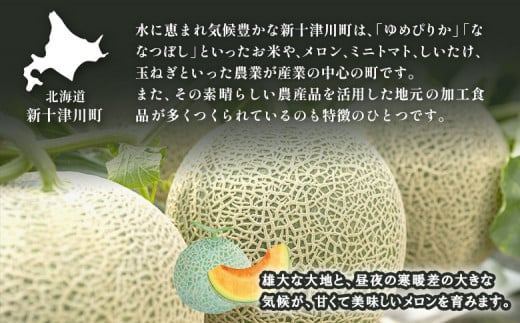 【先行予約】【数量限定】 赤玉メロン２玉・ミニメロンゼリーセット【令和７年７月～８月上旬発送】