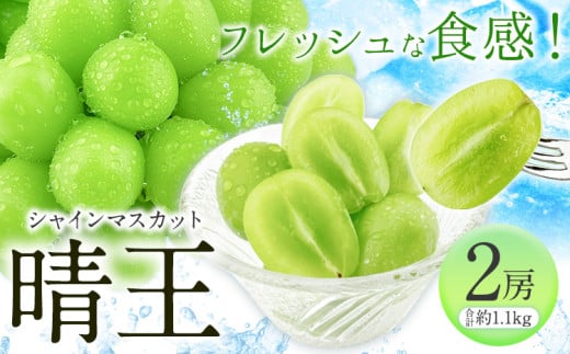 【先行予約】シャインマスカット 晴王 2房(約1.1kg)《2025年9月上旬-10月上旬頃出荷(土日祝除く)》 田口青果 マスカット 送料無料 岡山県 浅口市 シャインマスカット ぶどう フルーツ 果物 贈り物 ギフト 国産 岡山県産 くだもの 果物 青果物【配送不可地域あり】