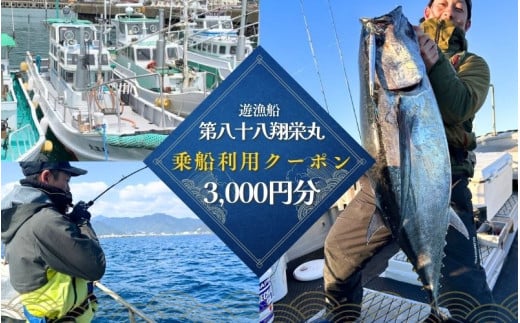 遊漁船「第八十八翔栄丸」 乗船利用クーポン 3000円分 / 釣り 海釣り 船釣り 釣り船 魚釣り フィッシング fishing 漁船 体験 チケット クーポン ジギング ジギング船 タイラバ トンジキ イカメタル アジング サビキ釣り イカ釣り キャスティング 三重県 紀宝町 【sem001】