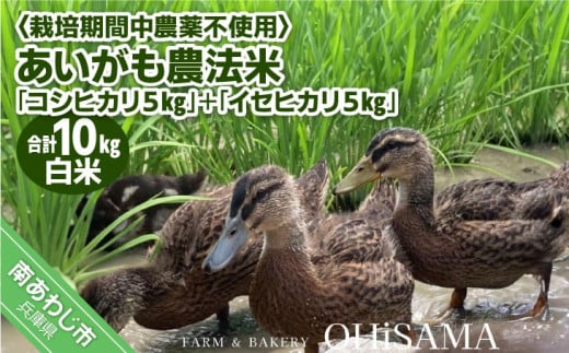 令和6年産　コシヒカリ５Kg＋イセヒカリ5Kg　白米　栽培期間中農薬不使用　あいがも農法米