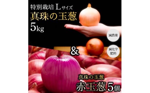 真珠の玉葱 特別栽培Lサイズ5kg(赤玉葱5個入り)≪海のミネラルで育てた特別栽培玉葱≫【50108】 982417 - 北海道岩見沢市