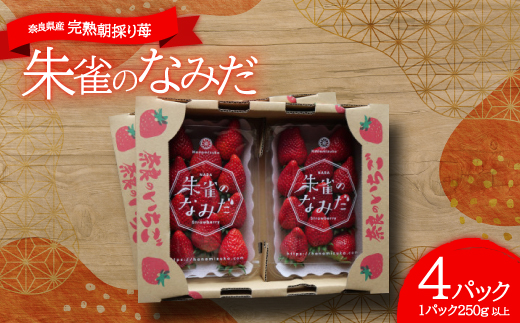 ご自宅用おまかせ便! 朱雀のなみだ (by花水土香) 2箱4p(1p250g以上)クラフト箱×トレー【1286860】