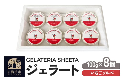 ジェラート いちごソルベ 約100g×8個 1959617 - 秋田県横手市