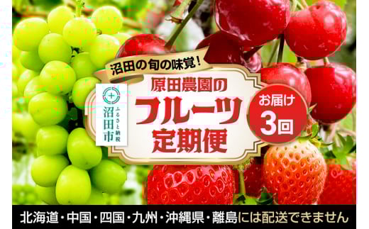 《一部地域限定配送》3回お届け！原田農園のフルーツ定期便 シャインマスカット→いちご→さくらんぼ