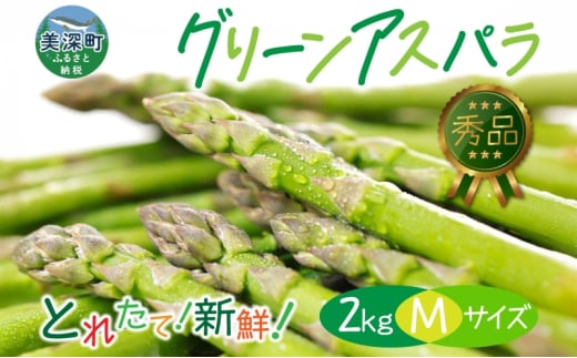 【2025年発送】北海道美深町 グリーンアスパラ 2kg(M)【 秀品 】旬 新鮮 野菜 朝採れ アスパラ アスパラガス ギフト 産地直送 お取り寄せ フレッシュ 健康 美容 フレッシュ 甘い 北海道産	 [№5894-0584] 1278951 - 北海道美深町