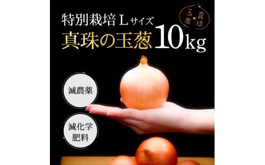 真珠の玉葱 特別栽培Lサイズ10kg≪海のミネラルで育てた特別栽培玉葱≫【50102】 982411 - 北海道岩見沢市
