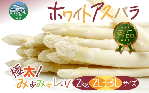 【2025年発送】 ホワイトアスパラ 2kg(2L～3L )【 秀品 】 白 旬 新鮮 野菜 朝採れ アスパラ アスパラガス ジューシー ギフト 産地直送 お取り寄せ フレッシュ 丁寧 健康 美容 簡単調理[№5894-0583] 1278950 - 北海道美深町