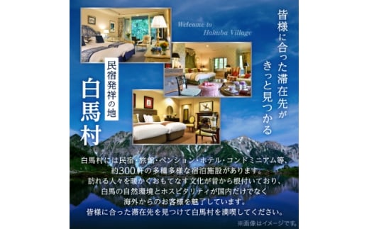 長野県白馬村のふるさと納税 白馬村　宿泊補助券90,000円分(10,000円分×9枚)_ 宿泊補助券 チケット 補助券 ギフト券 贈答 プレゼント 白馬村 長野県 民宿 旅館 ペンション ホテル コンドミニアム 宿泊施設 便利 おすすめ 人気 送料無料 【1463294】