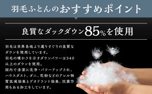 訳あり 節電対策 洗える羽毛ふとん 羽毛ふとん 羽毛布団 本掛け 充填量1.0kg ダウン85%抗菌・防臭ダウン使用 シングル