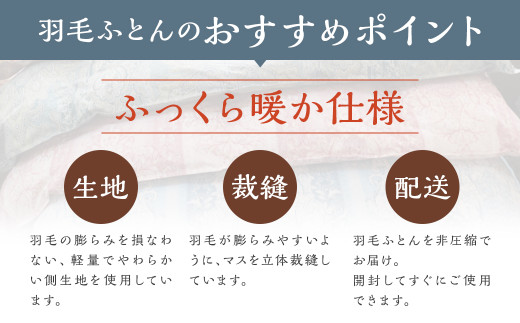 訳あり 節電対策 洗える羽毛ふとん 羽毛ふとん 羽毛布団 本掛け 充填量1.0kg ダウン85%抗菌・防臭ダウン使用 シングル