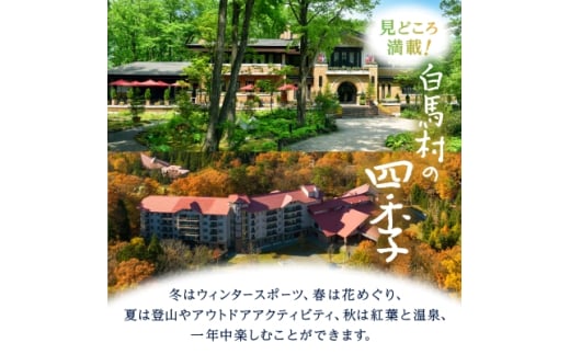 長野県白馬村のふるさと納税 白馬村　宿泊補助券90,000円分(10,000円分×9枚)_ 宿泊補助券 チケット 補助券 ギフト券 贈答 プレゼント 白馬村 長野県 民宿 旅館 ペンション ホテル コンドミニアム 宿泊施設 便利 おすすめ 人気 送料無料 【1463294】