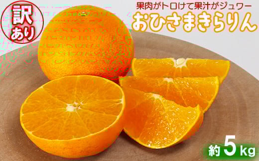 【訳あり・優品】今村農園の「おひさまきらりん 約5kg」 甘い オレンジ みかん ミカン 清美 12月発送 1月発送 先行予約 5kg わけあり 柑橘類 フルーツ ＜107-020_5＞ 229269 - 大分県杵築市