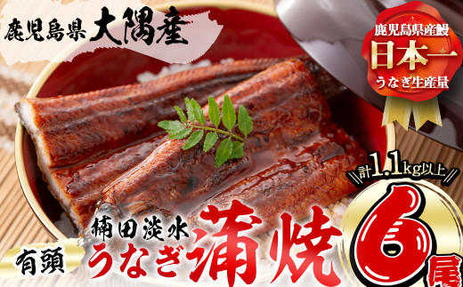 【丑の日までに配送】楠田の極うなぎ 蒲焼き 190g以上×6尾(計1.1kg以上) e7-018-us 1338935 - 鹿児島県志布志市