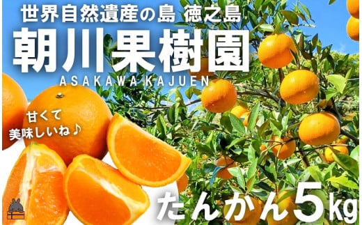 2201《先行予約》～世界自然遺産の島から～朝川果樹園さんのたんかん（5kg）　( タンカン フルーツ みかん 果物 柑橘 甘い 徳之島 奄美 鹿児島 もぎたて フレッシュ 世界自然遺産 フルーツアイランド 先行予約 ) 1189994 - 鹿児島県徳之島町