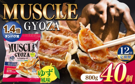 【定期便12回】MUSCLE GYOZA ~マッスルギョーザ　～（ゆず風味）冷凍餃子40個入り1袋 | 餃子 ギョーザ ダイエット マッスルギョーザ ゆず  柚子 長野県 松本市 信州産 ふるさと納税 1469664 - 長野県松本市