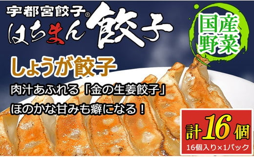 宇都宮餃子はちまん餃子 しょうが餃子 16個 （16個入り×1パック/1個 22g） ｜ 宇都宮餃子 国産野菜 グルメ 宇都宮市 しょうが ぎょうざ ギョーザ 野菜 冷凍食品 冷凍餃子 焼き餃子 水餃子