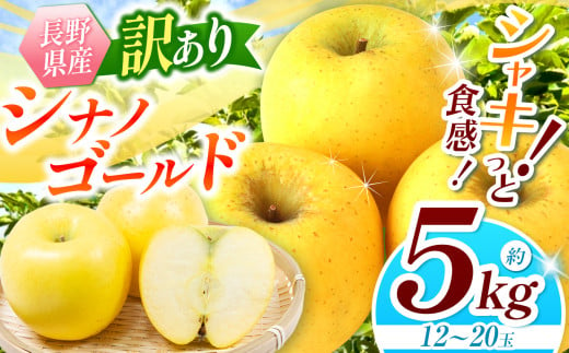 【2025年先行予約】浅野農園 訳あり シナノゴールド 5kg ｜ リンゴ りんご 林檎 果物 くだもの フルーツ 果実 果汁 シナノゴールド 訳あり 長野県 松川村 信州