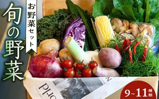 野菜セット 旬の野菜 （9~11種類) 993082 - 徳島県徳島市