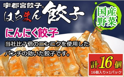 宇都宮餃子はちまん餃子 にんにく餃子 16個（16個入り×1パック/1個 22g） ｜ 宇都宮餃子 国産野菜 グルメ 宇都宮市 にんにく ぎょうざ ギョーザ 野菜 冷凍食品 冷凍餃子 焼き餃子 水餃子