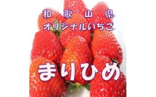 和歌山県オリジナルいちご「まりひめ」【配送不可地域：北海道・青森・秋田・岩手・沖縄】 