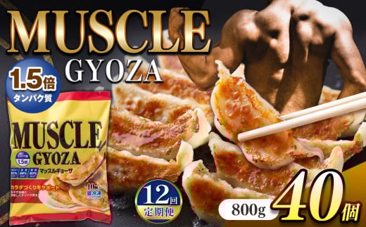 【定期便12回】MUSCLE GYOZA ~マッスルギョーザ ~冷凍餃子40個入り1袋 | 餃子 ギョーザ ダイエット マッスルギョーザ 長野県 松本市 信州産 ふるさと納税 1469661 - 長野県松本市 |