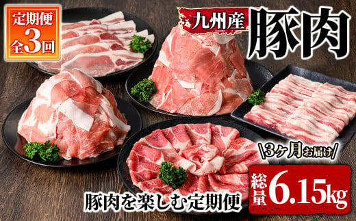 2850 【定期便】豚肉を楽しむ定期便（計３回 6.15kgお届け）（2025年3月より出荷開始）【国産 冷凍 小分け 豚肉 焼肉 BBQ 炒め物 しゃぶしゃぶ 生姜焼き 定期便 真空パック 真空包装】 1960125 - 鹿児島県鹿屋市