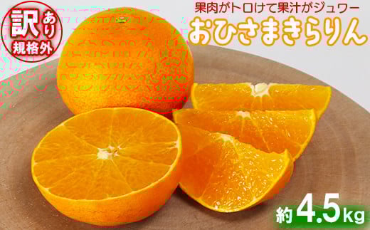 【訳あり・規格外品】今村農園の「おひさまきらりん 約4.5kg」 先行予約 4.5kg 12月発送 1月発送 わけあり 柑橘類 フルーツ ＜107-017_5＞