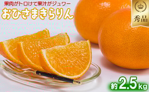 今村農園のおひさまきらりん 約2.5kg【秀品】  甘い オレンジ みかん ミカン 清美 2.5kg 12月発送 1月発送 先行予約 贈答 柑橘類 フルーツ ＜107-024_6＞ 213655 - 大分県杵築市