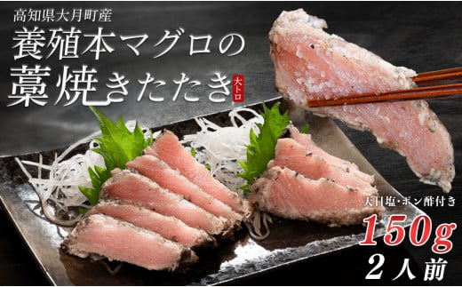 養殖本マグロの藁焼きたたき　大トロ 1839176 - 高知県大月町