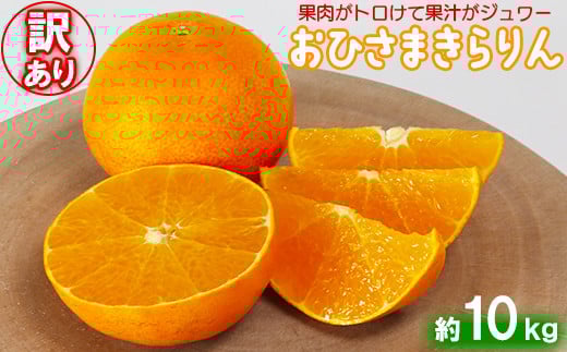 【訳あり・優品】今村農園の「おひさまきらりん 約10kg」 甘い オレンジ みかん ミカン 清美 12月発送 1月発送 先行予約 10kg わけあり 柑橘類 フルーツ ＜107-021_5＞ 346368 - 大分県杵築市