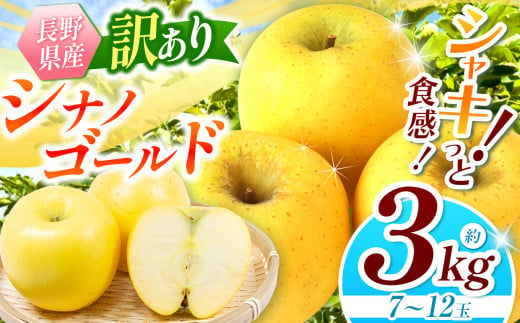 【2025年先行予約】浅野農園 訳あり シナノゴールド 3kg ｜ リンゴ りんご 林檎 果物 くだもの フルーツ 果実 果汁 シナノゴールド 訳あり 長野県 松川村 信州