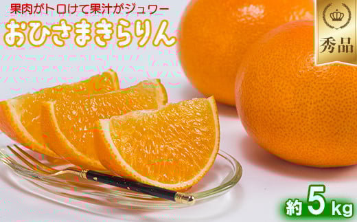 今村農園のおひさまきらりん 約5kg【秀品】 甘い オレンジ みかん ミカン 清美 5kg 12月発送 1月発送 先行予約 贈答 柑橘類 フルーツ ＜107-025_6＞ 214627 - 大分県杵築市