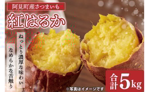 04-10【先行予約】茨城県阿見町産 さつまいも 紅はるか 5kg×1【サツマイモ 生芋 べにはるか 阿見町 茨城県】