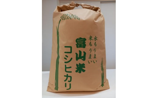 【令和6年産】みどりふぁーむの天然海藻肥料栽培コシヒカリ玄米20kg 1960327 - 富山県南砺市