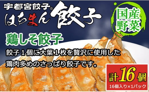 宇都宮餃子はちまん餃子 鶏しそ餃子 16個 （16個入り×1パック/1個 22g） ｜ 宇都宮餃子 国産野菜 グルメ 宇都宮市 餃子 冷凍 ぎょうざ ギョーザ 野菜 冷凍食品 冷凍餃子 焼き餃子 水餃子