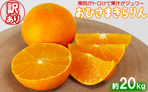 【訳あり・優品】今村農園の「おひさまきらりん 約20kg」 甘い オレンジ みかん ミカン 清美 12月発送 1月発送 先行予約 10kg わけあり 柑橘類 フルーツ ＜107-022_5＞ 346369 - 大分県杵築市