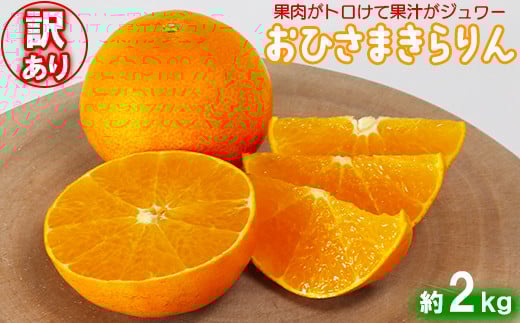【訳あり・優品】今村農園の「おひさまきらりん 約2kg」 甘い オレンジ みかん ミカン 清美 12月発送 1月発送 先行予約 2kg わけあり 柑橘類 フルーツ ＜107-018_5＞ 988612 - 大分県杵築市
