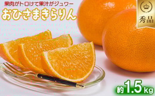 今村農園のおひさまきらりん 約1.5kg【秀品】 甘い オレンジ みかん ミカン 清美 1.5kg 1月発送 先行予約 贈答 柑橘類 フルーツ ＜107-023_5＞ 229267 - 大分県杵築市