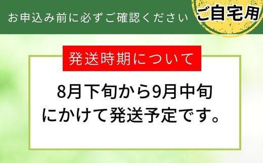 兵庫県香美町のふるさと納税 【先行予約】梨 【20世紀梨 ご自宅用 5kg サイズ L～5L混合（10～18玉）】ご自宅用 大人気 人気 ふるさと納税 おすすめ 返礼品 ランキング 二十世紀梨 果肉はしっかり シャキシャキの食感 ほどよい甘さとみずみずしさ 日本海に面する梨の本場 兵庫県香美町で育つ「香住梨」糖度を計測して出荷 兵庫県 香美町 フルーツ ナシ 青梨 和梨 ふるさと納税 JAたじま 12000円 12-20