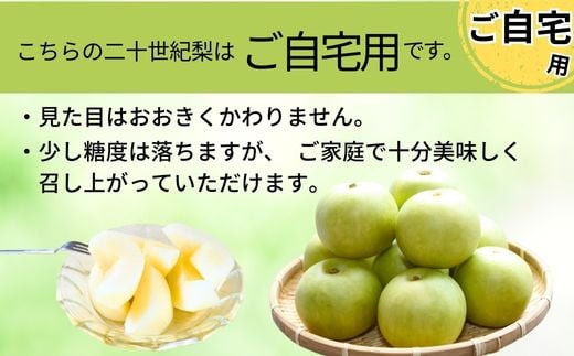 兵庫県香美町のふるさと納税 【先行予約】梨 【20世紀梨 ご自宅用 5kg サイズ L～5L混合（10～18玉）】ご自宅用 大人気 人気 ふるさと納税 おすすめ 返礼品 ランキング 二十世紀梨 果肉はしっかり シャキシャキの食感 ほどよい甘さとみずみずしさ 日本海に面する梨の本場 兵庫県香美町で育つ「香住梨」糖度を計測して出荷 兵庫県 香美町 フルーツ ナシ 青梨 和梨 ふるさと納税 JAたじま 12000円 12-20