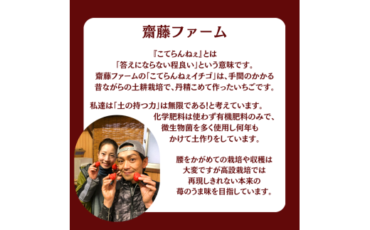 やよい姫