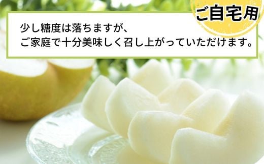 兵庫県香美町のふるさと納税 【先行予約】梨 【20世紀梨 ご自宅用 5kg サイズ L～5L混合（10～18玉）】ご自宅用 大人気 人気 ふるさと納税 おすすめ 返礼品 ランキング 二十世紀梨 果肉はしっかり シャキシャキの食感 ほどよい甘さとみずみずしさ 日本海に面する梨の本場 兵庫県香美町で育つ「香住梨」糖度を計測して出荷 兵庫県 香美町 フルーツ ナシ 青梨 和梨 ふるさと納税 JAたじま 12000円 12-20