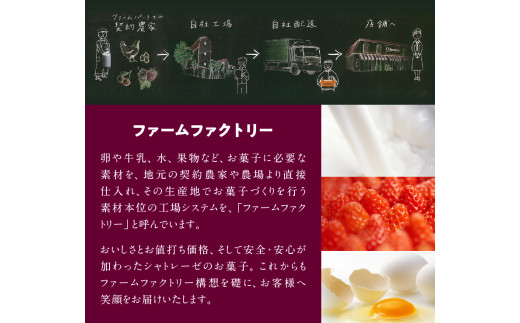 山梨県北杜市のふるさと納税 【シャトレーゼ】チョコバッキーバニラ＆チョコ詰合せ36本入  シャトレーゼ チョコバッキー バニラ＆チョコ詰合せ 36本入り 2種類 アイス アイスクリーム バニラ チョコ 詰め合わせ 詰め合わせ チョコ好き おすすめ 人気